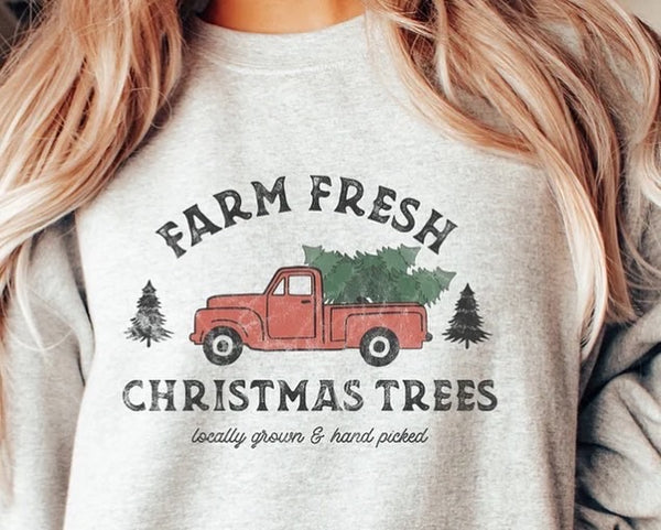 Farm Fresh Trees Crew